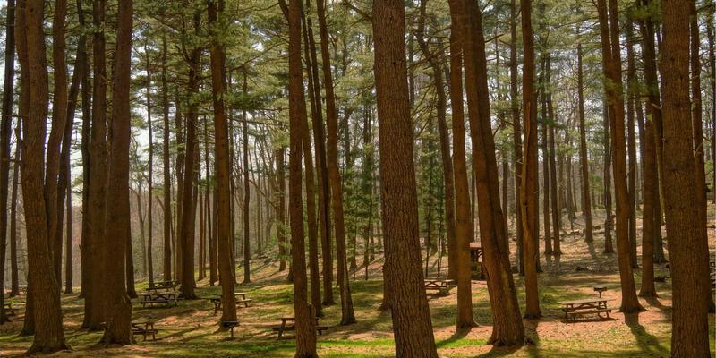 从《CLANNAD》到《间谍过家家》：二次元如何重构家庭，治愈现实孤独