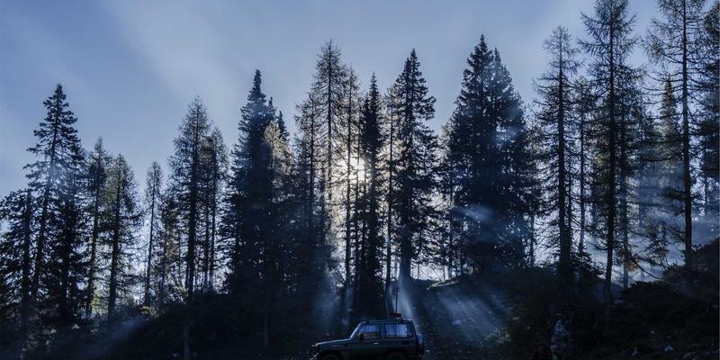 从《无职转生》到《史莱姆》:解码异世界转生动漫的叙事密码与文化吸引力