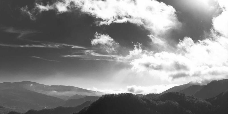 从猫耳到‘属性’数据库：解码二次元萌要素的符号化消费与生产机制