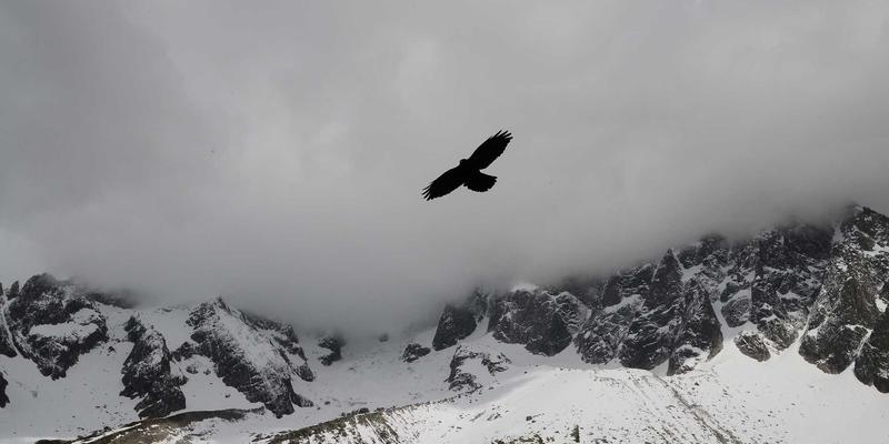 从《猫跳》到同人宇宙:经典动漫艺术风格背后的时代密码