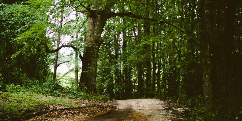 从猫跳粉丝到地方经济引擎:动漫圣地巡礼如何重塑城市与粉丝文化
