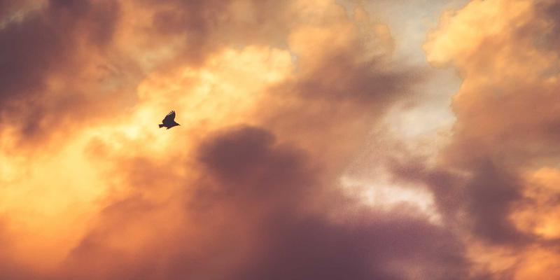 从‘社畜’到‘高中生’：异世界转生叙事的身份密码与文化焦虑