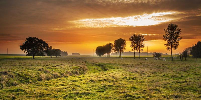 动漫中的战争记忆与反战表达：从《在这世界的角落》到《闪光的哈萨维》