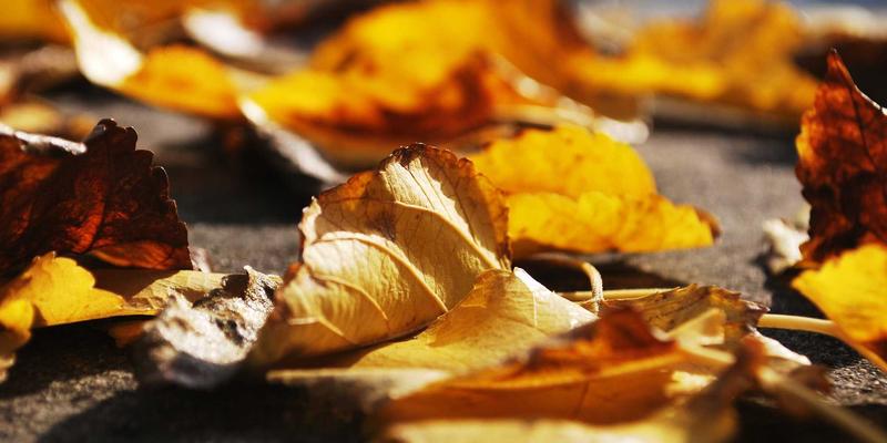 热血少年漫的叙事密码：解构‘友情、努力、胜利’为何能统治二次元